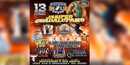 JARIPEO GUADALUPANO