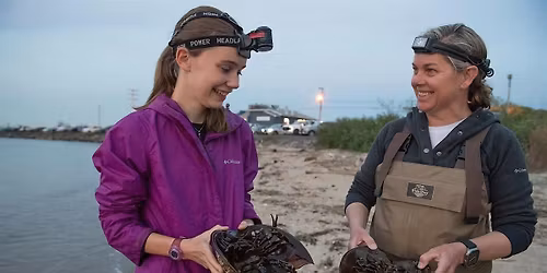 In-Person Volunteer Training for Horseshoe Crab Monitoring