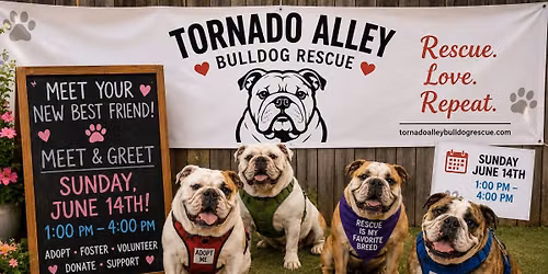 A1 Pet Emporium Bulldog Meet & Greet