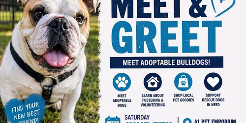 A1 Pet Emporium Bulldog Meet & Greet