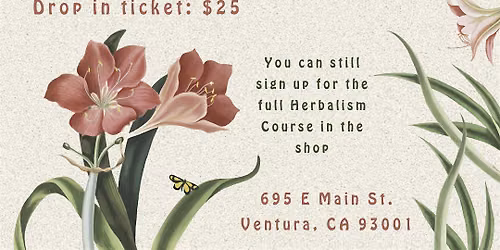 Herbal Preparations & Processing with Lauren Kirkpatrick