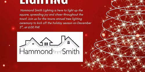 Centreville Town Christmas Tree Lighting 