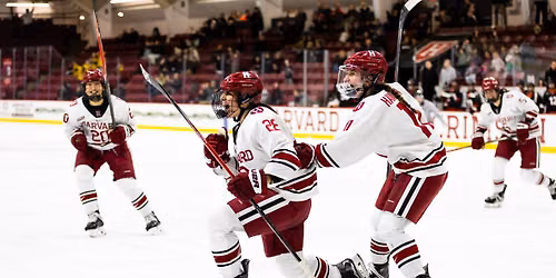 Harvard Crimson Women's Hockey vs. Princeton Tigers