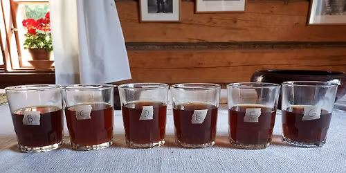 Hollolan pit\u00e4j\u00e4n sahtimestaruuskilpailut