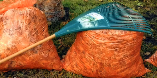 No-Charge Yard Waste Day