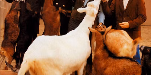 Pet Sounds Live - A Beach Boys Celebration at Crescent Ballroom - Phoenix