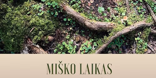 Mi\u0161ko laikas | Mi\u0161ko terapijos patyrimas