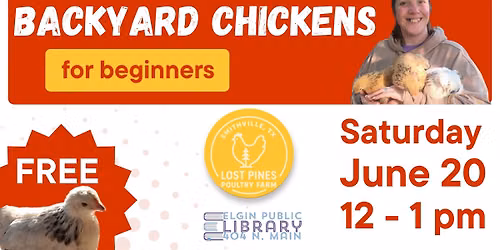 Backyard Chickens for Beginners