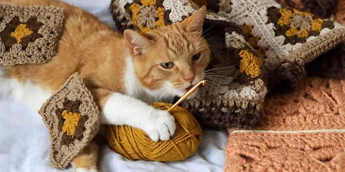 Crochet and Fiber Arts Meet-Up