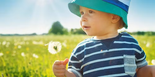 Introduction to the ITERS-3