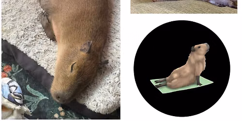 Capybara Yoga 