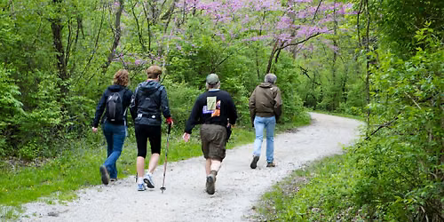 Fitness Hike: 3 miles @ Yankee Woods