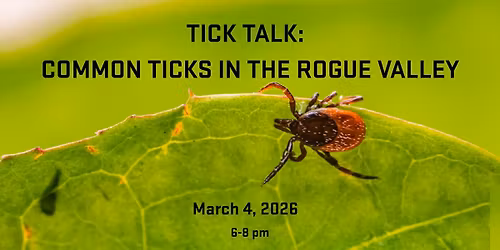 Tick Talk: Common Ticks in the Rogue Valley