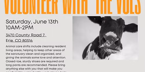 Volunteer with the Vols 