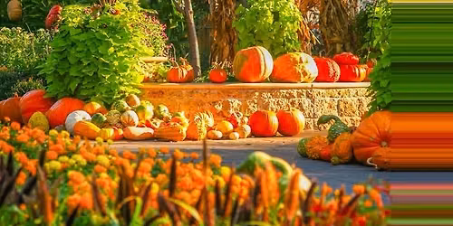2026 Fall Vendor Fair