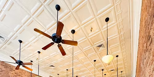 Live Music with Leftover Buscuits