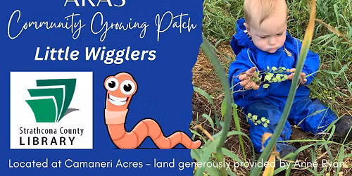 ARAS Community Growing Patch: Lil Wigglers