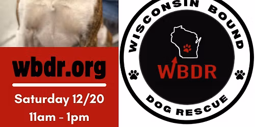 Petsmart Adoption Event 