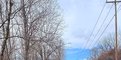 Earth Day Cleanup #2 \ud83c\udf0e\u2728