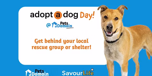 Adopt-A-Dog Day @ Pets Domain | Hear No Evil