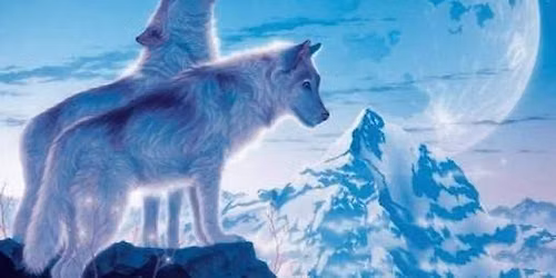 SHAMANIC DIVINATION AND HEALING SESSIONS. WITH JOANN
