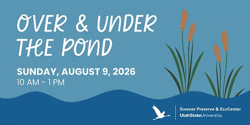 Over & Under the Pond Family Day
