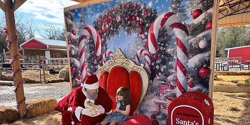 Free Present from Santa Everyday at Springtime Exotic Petting Farm