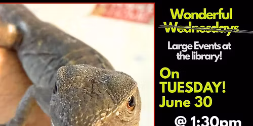 Wonderful Wednesday on Tuesday!!! Robison's Reptiles