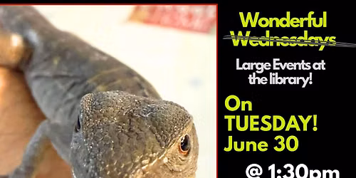 Wonderful Wednesday on Tuesday!!! Robison's Reptiles