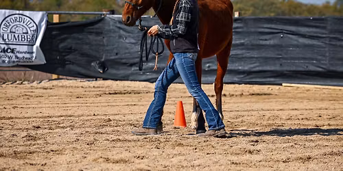 Open Horse Show