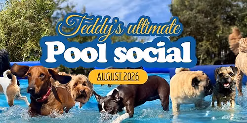 Giant Dog Pool Social Event