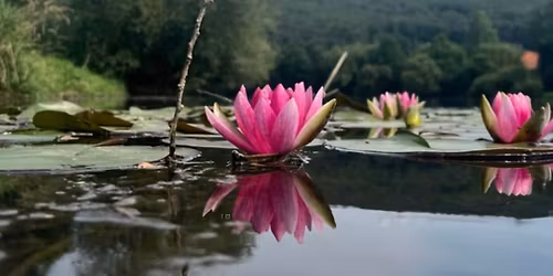 Ve\u010der s Terezi\u00ed Dubinovou v \u010dervnu