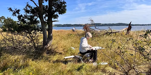 Akvarel. Sommerkursus. Natur og landskab.