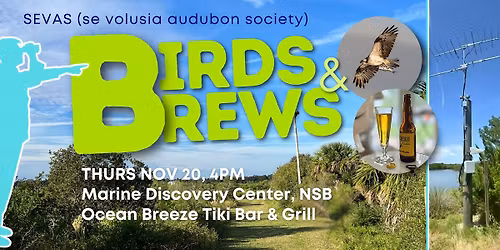 Birds & Brews - Marine Discovery Center