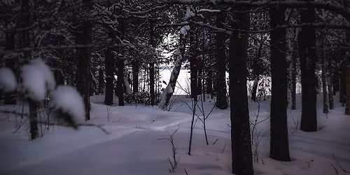 Yule in Park Kokkebogaard