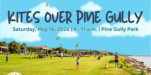 Kites Over Pine Gully Park