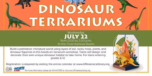 Dinosaur Terrariums