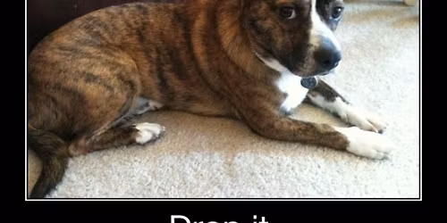 Dinner Special: Pot Roast