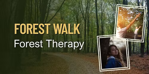 Forest Walk - Forest Therapy