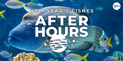 After Hours: New Year\u2019s Fishes