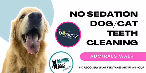 Pet Teeth Cleaning - View Royal