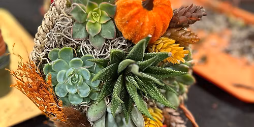 Succulent cornucopia