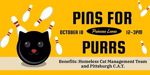 Pins for Purrs 2026