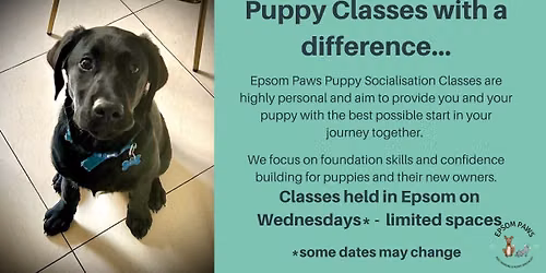 Epsom Paws Puppy Socialisation Classes - July\/August