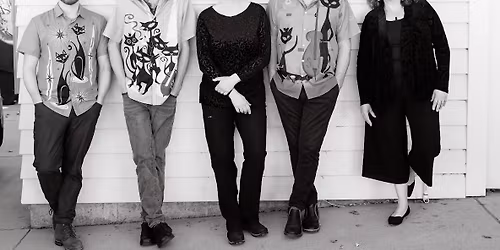 The Cats at Bricks in Longmont!