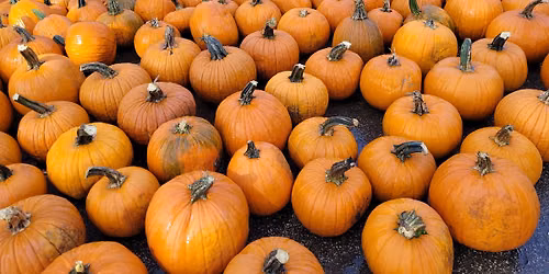 Hales Corners Lions Club Presents Pumpkin Fest