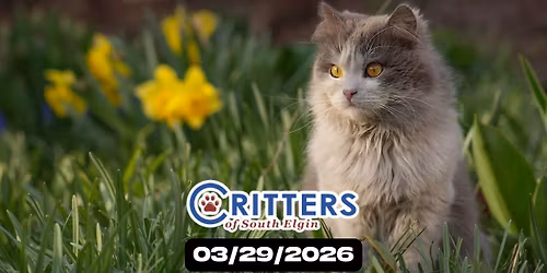 Fur-Ever Spring Finale