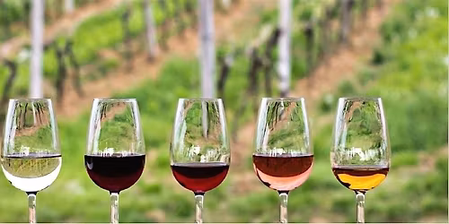 Network and Wine Tasting