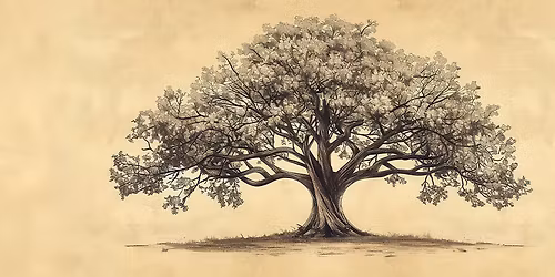 Ancestry Library Edition Class at the Warren Library