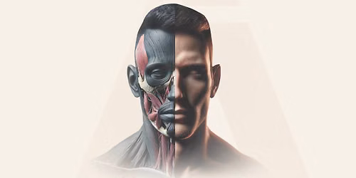 Dissecting Aesthetics Immersive Cadaver & Injection Training